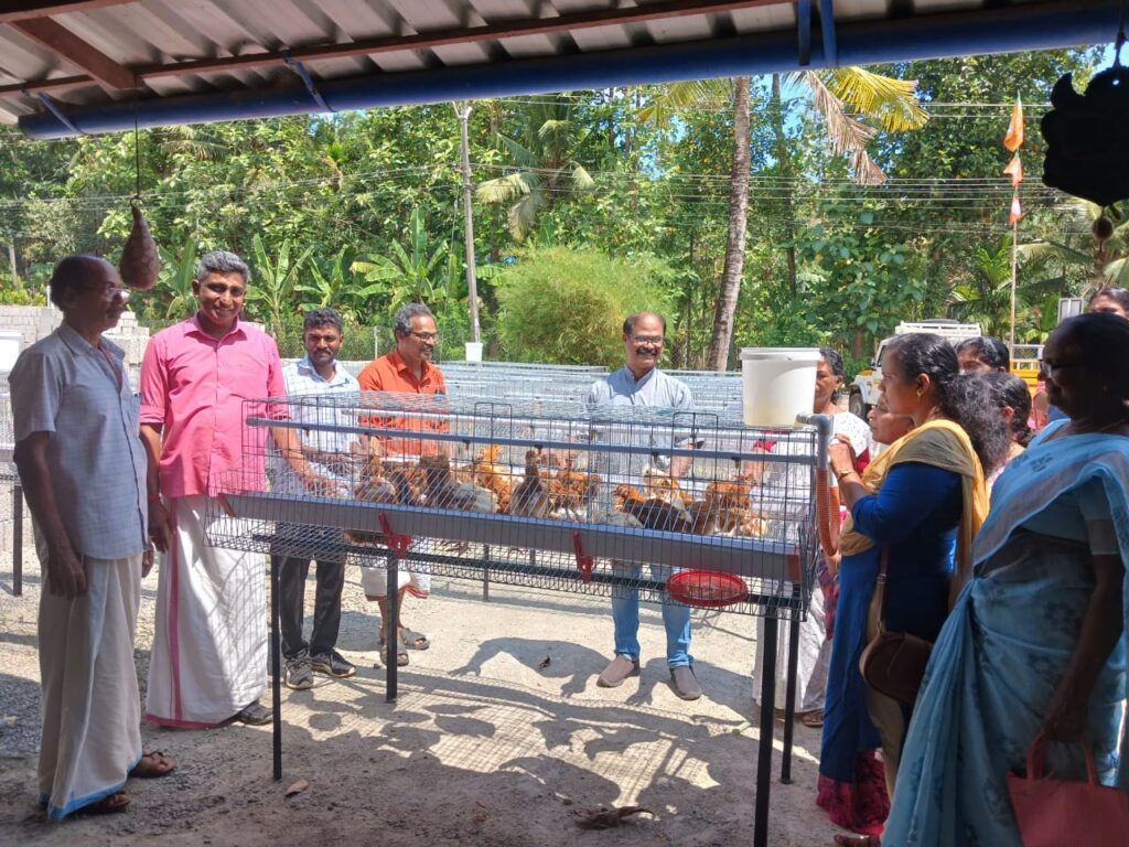 Backyard Poultry Training Held for Egg Production